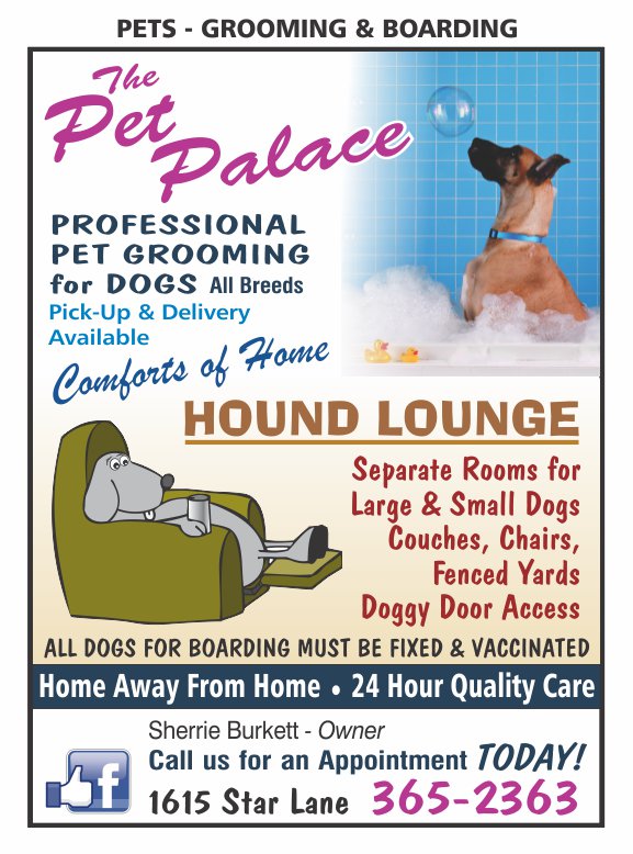 Pet Grooming For Dogs Cats Boarding Emmett Connections
